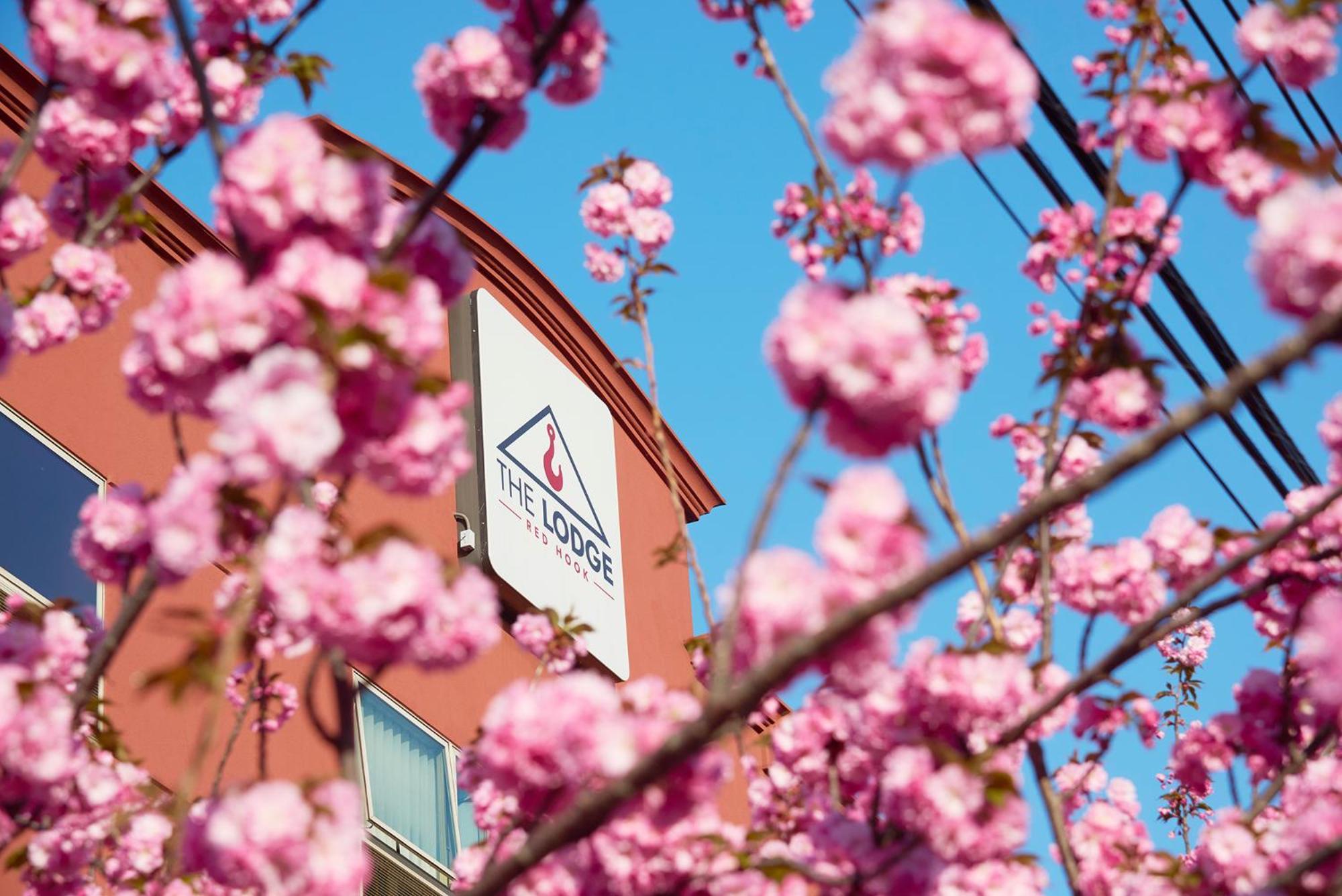 The Lodge Red Hook New York Ngoại thất bức ảnh